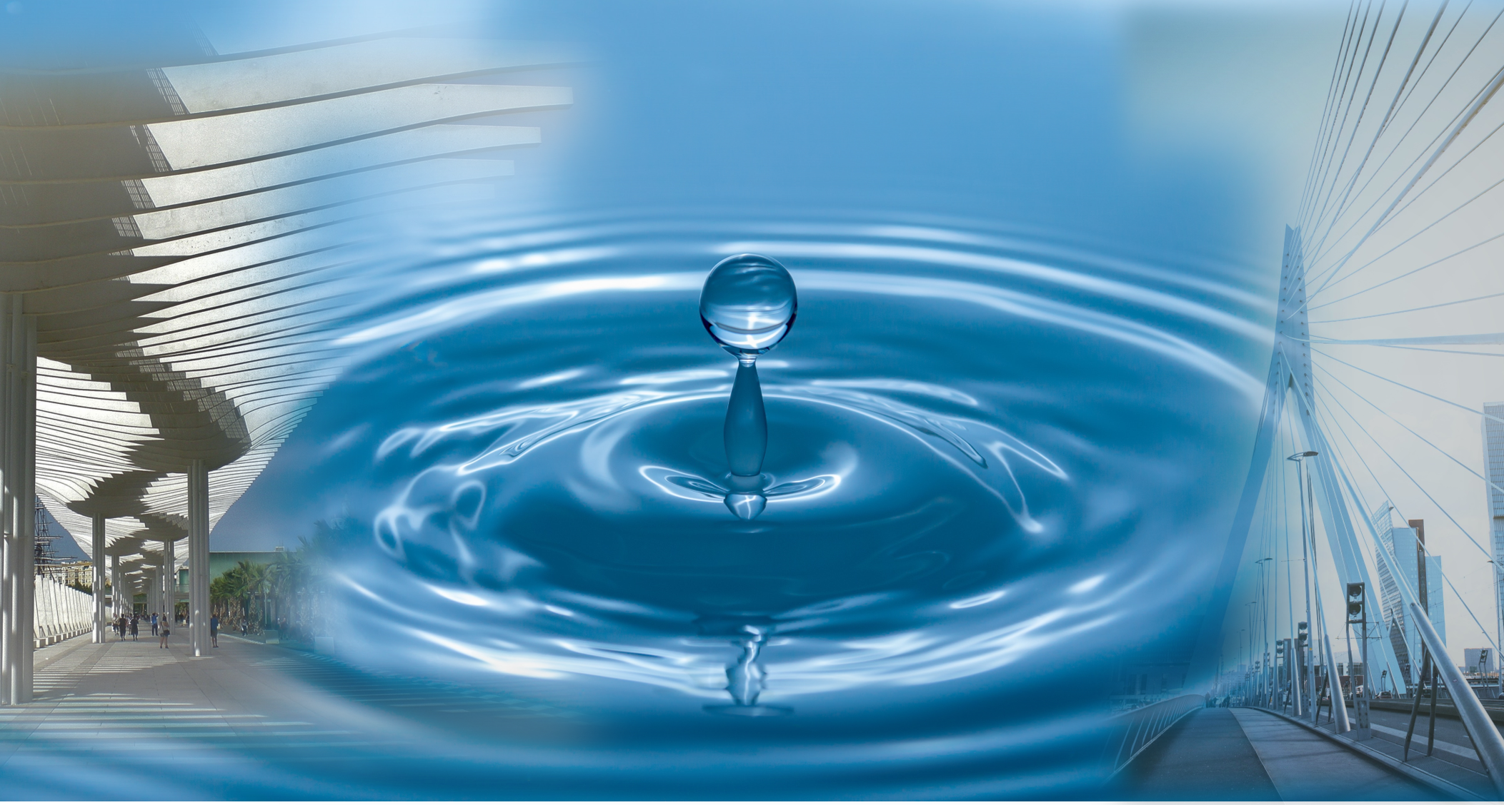 Enterprise Asset Management